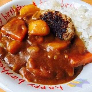 ごろごろ野菜のハンバーグのせカレー